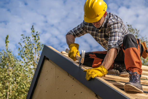 Best Skylights  in Williamston, SC